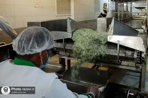 پخت و توزیع غذای متبرک ماهی سفره شب عید در مهمانسرای حضرت