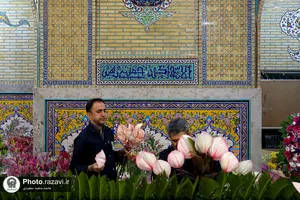 آماده&zwnj;سازی گل&zwnj;آرایی حرم مطهر رضوی در دهه کرامت