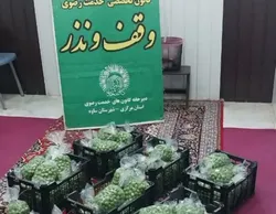 محصول «باغ‌های نذر شده» در ساوه با عطر رضوی به نیازمندان رسید
