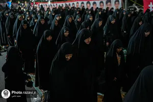 سفره حضرت رقیه سلام الله علیها در مشهد
