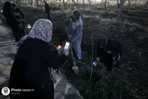 افتتاح باشگاه اجتماعی گوهرشاد