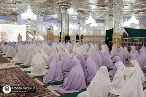 &laquo;پرواز پروانه&zwnj;ها&raquo; در حرم مطهر امام رئوف
