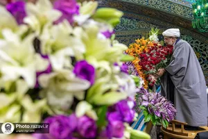 گل&zwnj;آرایی ضریح مطهر رضوی در آستانه ولادت امام رضا علیه&zwnj;السلام