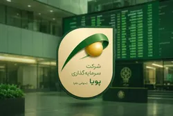 رشد درآمد و ارزندگی؛ دو سیگنال مثبت از «وپویا»