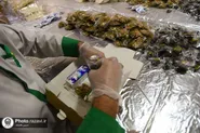 توزیع ۶۰۰ هزار بسته افطاری سبک در بین نمازگزاران حرم مطهر رضوی