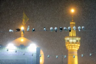 بارش برف شبانگاهی در حرم مطهر رضوی