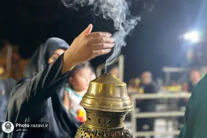موکب امام رضا علیه&zwnj;السلام در نجف اشرف