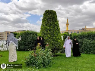 عکس با کیفیت: حال و هوای زائرین حرم مطهر رضوی