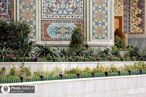 به استقبال بهار در حرم مطهر رضوی