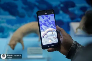 گنجینه آبزیان موزه مرکزی آستان قدس رضوی