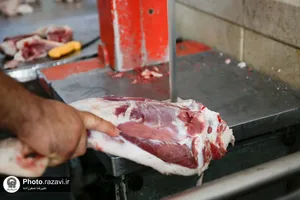 بسته&zwnj;بندی و توزیع گوشت به مناسبت نیمه شعبان