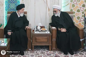 مجمع مشورتی استان خراسان رضوی