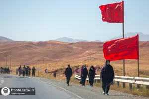 زائران پیاده امام رضا علیه&zwnj;السلام-2