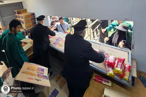 موکب امام رضا علیه&zwnj;السلام در نجف اشرف