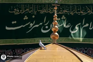 حرم مطهر رضوی در دهه کرامت - 2