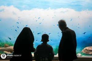 گنجینه آبزیان موزه مرکزی آستان قدس رضوی