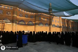 زائران حرم امامین عسکریین مهمان سفره امام رضا علیه&zwnj;السلام