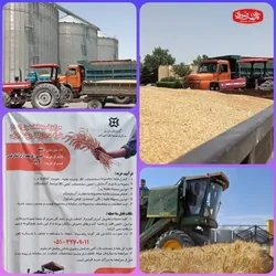 فعالیت رسمی آرد قدس رضوی به عنوان مرکز خرید گندم