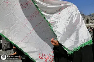 ارادت عزاداران حسینی در حرم رضوی