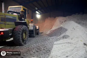 حضور خدام حرم مطهر رضوی در جمع نیروهای خدمت&zwnj;رسان شهر مشهد