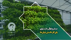بذر و نهال رضوی پای کار دانش بنیان ها