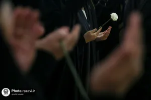 ویژه برنامه &laquo;بانوان نبوی&raquo; در حرم مطهر رضوی