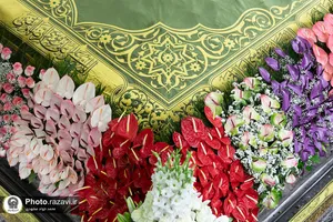 گل آرایی ضریح مطهر رضوی در دهه کرامت