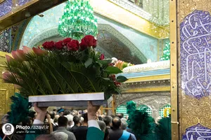 گل&zwnj;آرایی ضریح مطهر رضوی در آستانه ولادت امام رضا علیه&zwnj;السلام