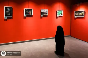 نمایشگاه عکس آرام جان