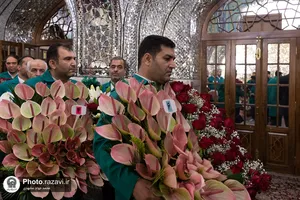 گل&zwnj;آرایی ضریح مطهر رضوی در آستانه ولادت امام رضا علیه&zwnj;السلام
