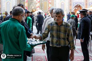 گرامیداشت شهدای دولت و خدمت