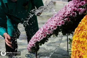 گل&zwnj;آرایی صحن آزادی حرم مطهر رضوی