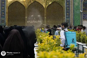 گلاب افشانی در حرم مطهر رضوی