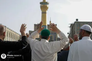 تشرف کاروان موکب&zwnj;داران عراقی به حرم مطهر رضوی