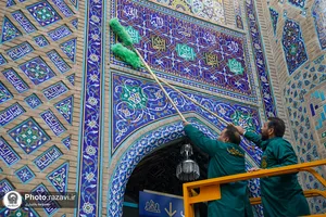 طهور رضوی