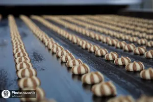 بازدید معاون آموزش متوسطه اداره کل آموزش و پرورش خراسان رضوی از صنایع غذایی رضوی