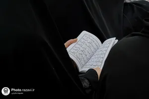 عرفه4