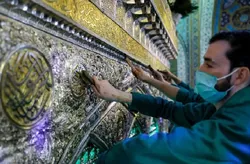 ضریح مطهر امام رضا (ع) جلا یافت