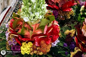 گل آرایی ضریح مطهر امام رضا (ع) به&zwnj;مناسبت اعیاد شعبانیه