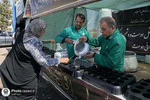 زائرین پیاده حضرت رضا علیه&zwnj;السلام در مسیر ملک&zwnj;آباد