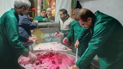 از ذبح قربانی تا برپایی موکب در پویش «۱۱۹۱ جشن مهدوی» استان همدان
