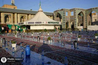 تزیین سفره‌های افطاری و محافل قرآنی حرم مطهر رضوی با ۱۰۰۰ گلدان گل