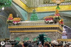 گل&zwnj;آرایی ضریح مطهر رضوی به مناسبت اعیاد شعبانیه
