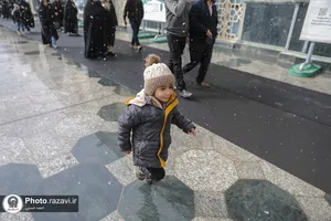 بارش برف در حرم مطهر رضوی