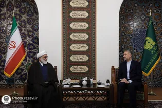 سفر محبان حضرت رضا(ع) از سراسر جهان به مشهد تسهیل شود