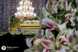 حال و هوای حرم مطهر رضوی در روز میلاد جوادالائمه علیه&zwnj;السلام