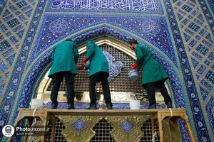طهور رضوی