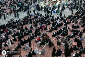 فرش&zwnj;آرایی حرم مطهر رضوی ویژه مراسم احیا