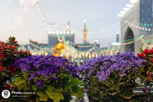 استقبال از بهار در حرم مطهر رضوی