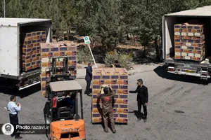 ارسال ١۵٠هزار بسته غذایی برای زائران اربعین حسینی